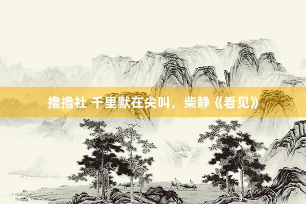 撸撸社 千里默在尖叫，柴静《看见》