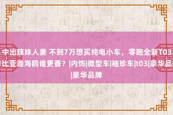 中出辣妹人妻 不到7万想买纯电小车，零跑全新T03与比亚迪海鸥谁更香？|内饰|微型车|袖珍车|t03|豪华品牌