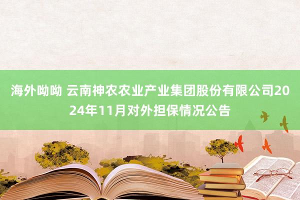 海外呦呦 云南神农农业产业集团股份有限公司2024年11月对外担保情况公告