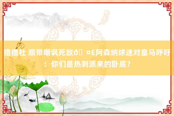 撸撸社 顺带嘲讽死敌🤣阿森纳球迷对皇马呼吁：你们是热刺派来的卧底？